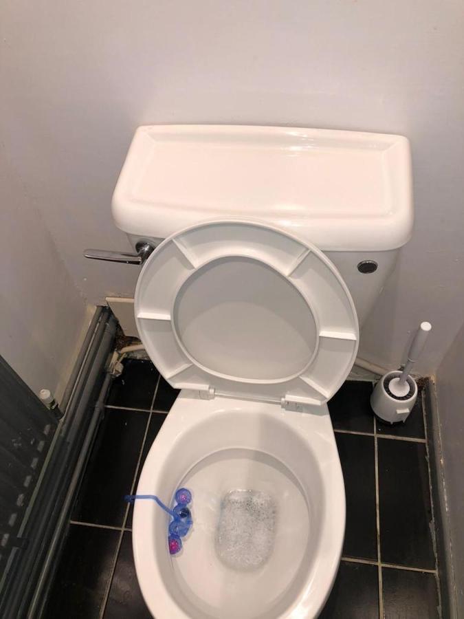 1 Comfortable Studio Apartment Brighton Bagian luar foto